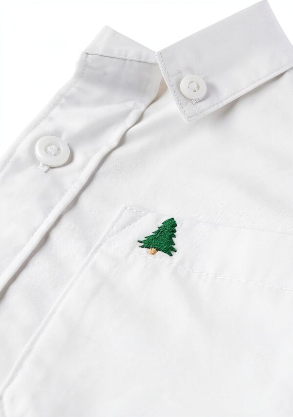 Gymboree Baby Boys Cotton Poplin Button Down Shirt-1