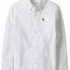 Gymboree Baby Boys Cotton Poplin Button Down Shirt-0