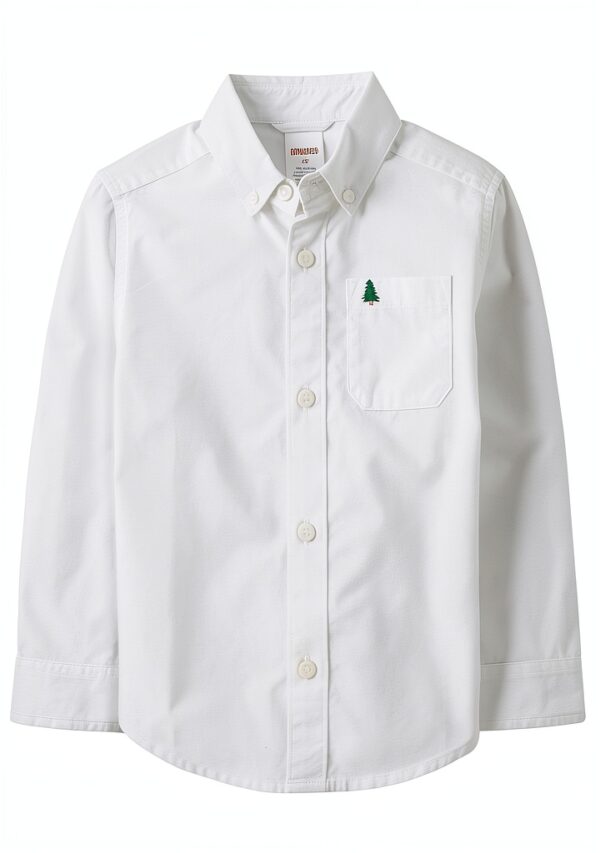 Gymboree Baby Boys Cotton Poplin Button Down Shirt-0