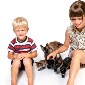 She Writes Press LGBTQ Memoir Spiritual Healing Grief-0